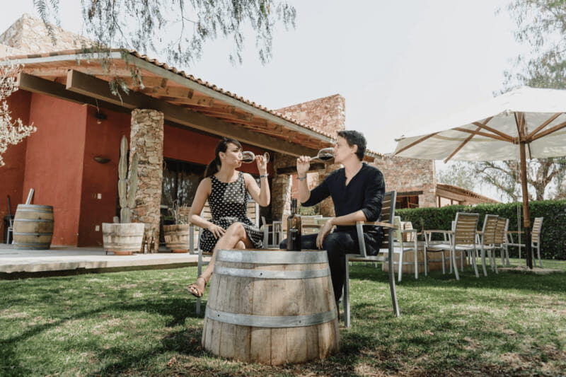 Leon: Viñedo Tierra de Luz Tour with Wine Tasting - Practical Advice for Visitors