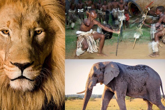 Lesedi Cultural Village and Lion Park tour - What Does the Price Cover?