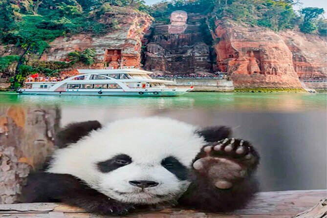 Leshan Buddha + Panda Base or Old Tea House Private Day Tour - Key Points