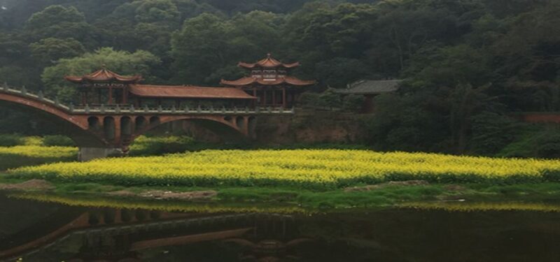 Leshan Buddha, Tea House&Mt. Emei 2 Days Private tour - A Deep Dive into the Tour Experience