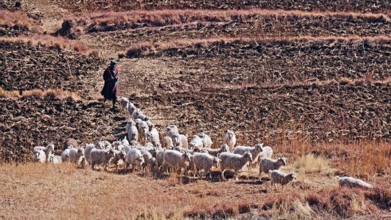 Lesotho Highlights 5 Days/4 Nights - Key Points