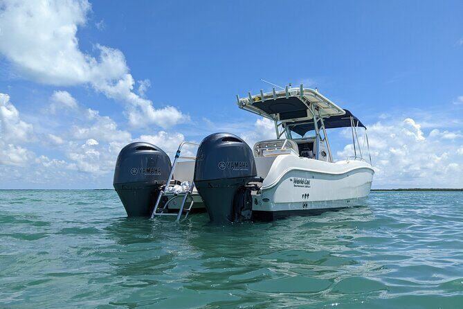Let it Ride Charters - Private Fishing Charter Adventure in Key Largo, FL - An In-Depth Look at the Experience