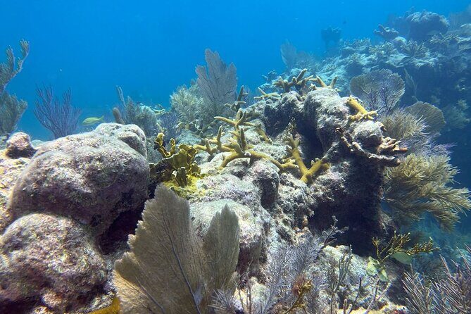 Let it Ride Charters-Private Fishing / Snorkel Combo Key Largo FL - The Itinerary and What to Expect