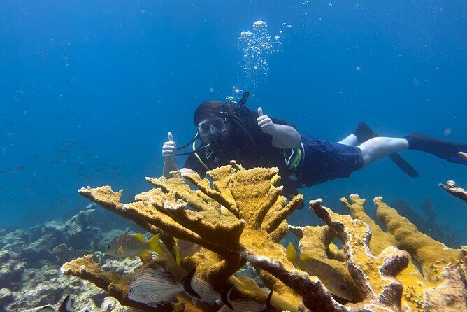 Let it Ride Charters-Private Fishing / Snorkel Combo Key Largo FL - Who Will Love This Trip?