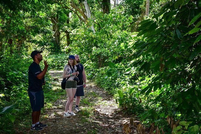 Let's do hiking in Punta Cana - Practicalities and Tips