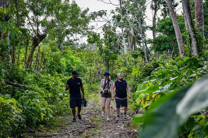 Let's do hiking in Punta Cana - The Sum Up: Who Will Love This Tour?