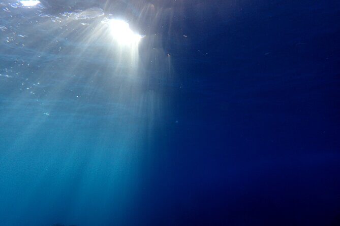 Let's enjoy Scuba diving in Izu Peninsula for certificate Diver - Who Will Love This Tour?