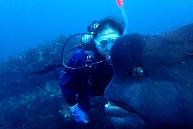 Let's enjoy Scuba diving in Izu Peninsula for certificate Diver - Frequently Asked Questions