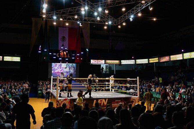 Lets Go to the Wrestlings! - Potential Drawbacks and Considerations