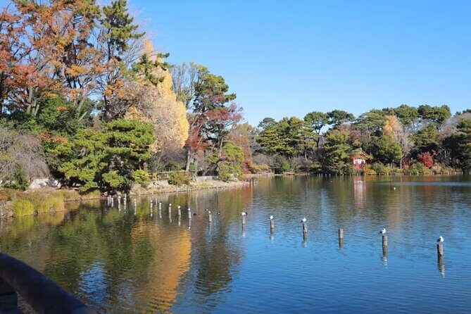 Let's take a walk in the park together!!! - Key Points