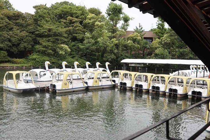 Let's take a walk in the park together!!! - Why This Tour Matters