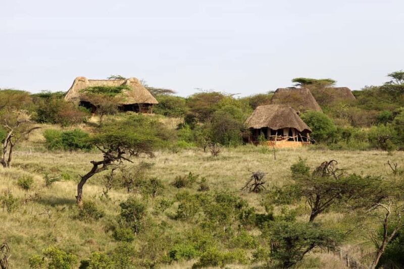 Lewa Wildlife Conservancy: 3-Day Private Safari Adventure - Key Points
