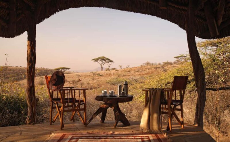 Lewa Wildlife Conservancy: 3-Day Private Safari Adventure - An In-Depth Look at the Lewa Experience