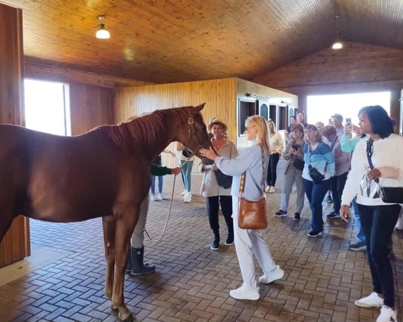Lexington: Thoroughbred Horse Farm Tour and Scenic Bluegrass - An In-Depth Look at the Tour Experience