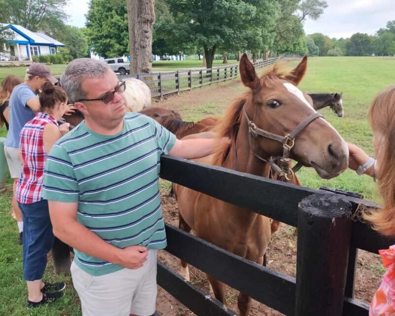 Lexington: Thoroughbred Horse Farm Tour and Scenic Bluegrass - The Sum Up