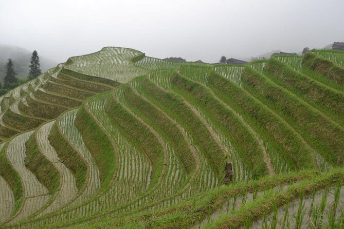 Li River Electric Boat, Xianggong Hill, Yulong River Biking Tour - The Sum Up