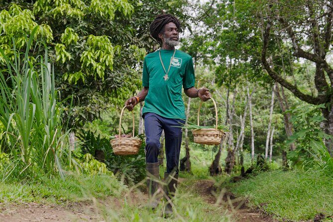 Liamuiga Natural Farm Tour - St.Kitts' Coffee Farm - A Deep Dive into the Liamuiga Natural Farm Tour