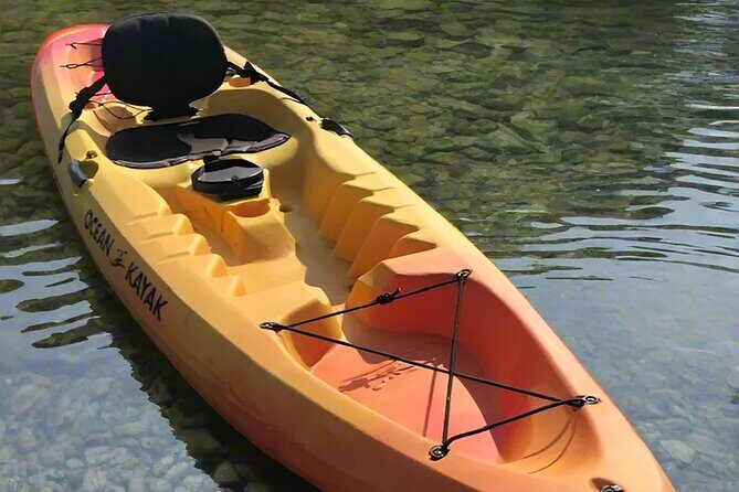 Liberty Bay Wildlife Kayaking - Wildlife and Ecology: What You’ll Likely See