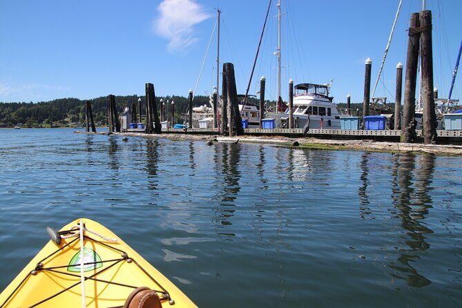 Liberty Bay Wildlife Kayaking - Cultural and Historical Context