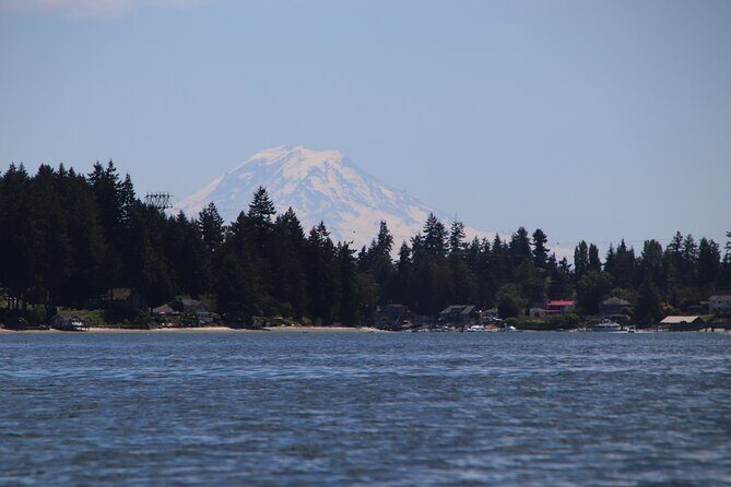 Liberty Bay Wildlife Kayaking - What Previous Travelers Say