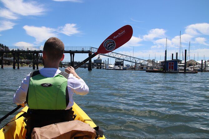 Liberty Bay Wildlife Kayaking - The Sum Up