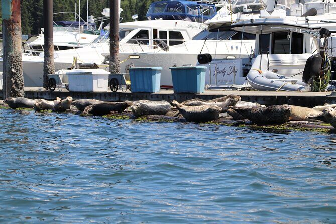 Liberty Bay Wildlife Kayaking - FAQ