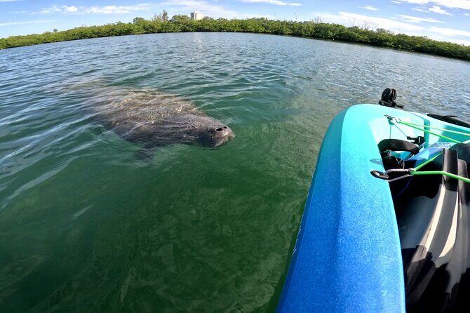 Lido Key Pedal Kayak Tour in Sarasota - FAQ