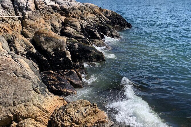 Lighthouse Park Hike - Practical Tips for Travelers