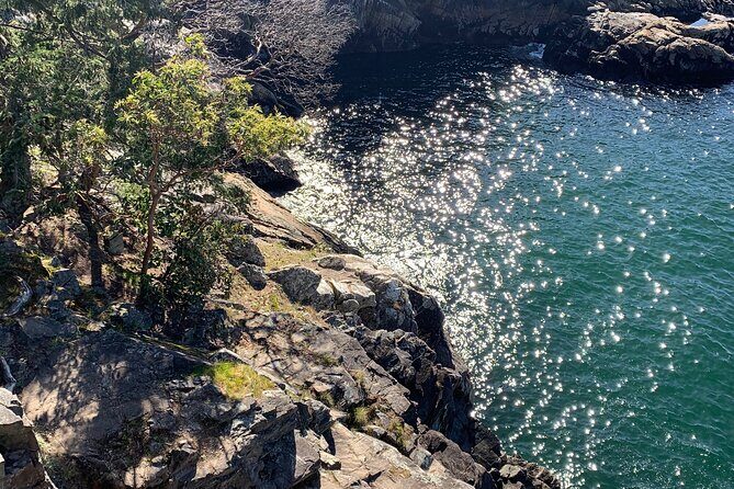 Lighthouse Park Hike - Frequently Asked Questions