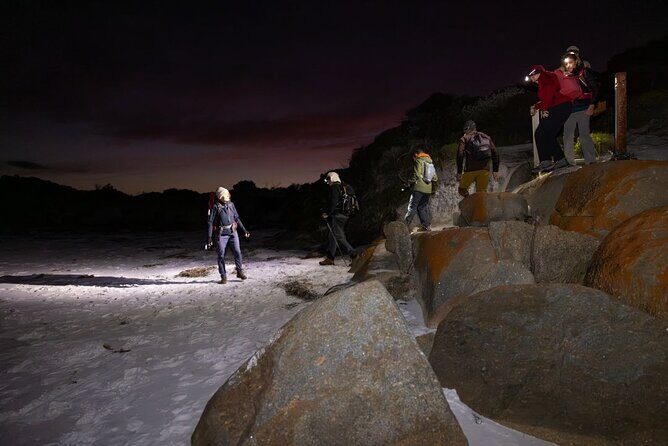 Lighting the Sound Uredale Twilight Hike - FAQ
