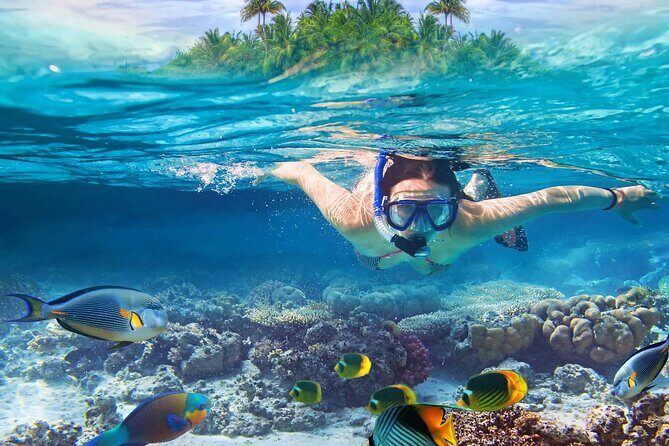 Lihaga Island (white sand island) swimming twice, including lunch and tickets - What Travelers Say: Authentic Perspectives