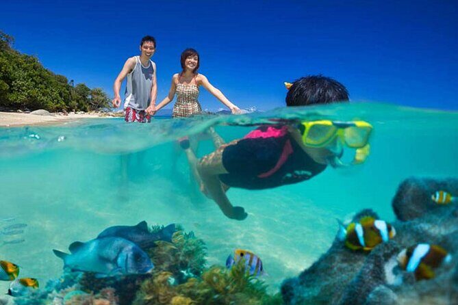 Lihaga Island (white sand island) swimming twice, including lunch and tickets - Frequently Asked Questions