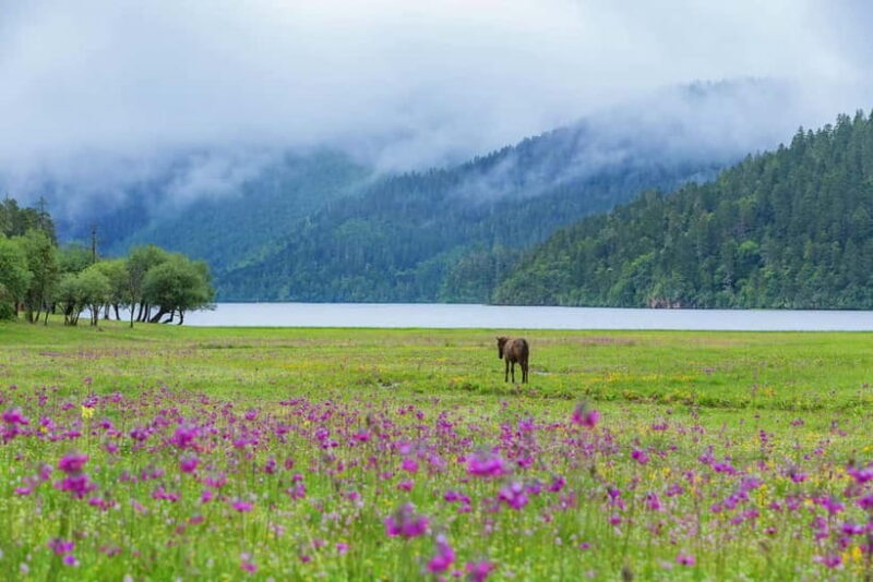 Lijiang: Pudacuo National Park and White Water Terrace Tour - Who Will Get the Most Out of This Experience?