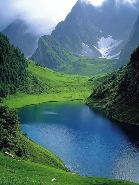 Lijiang: Yulong Snow Mountain, Blue Moon Valley & Show - Practical Details and Logistics