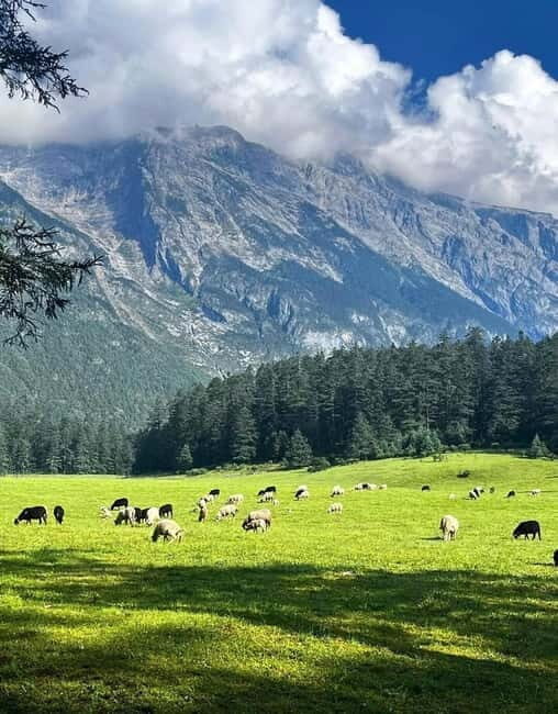Lijiang: Yulong Snow Mountain, Blue Moon Valley & Show - Who Would Love This Tour?
