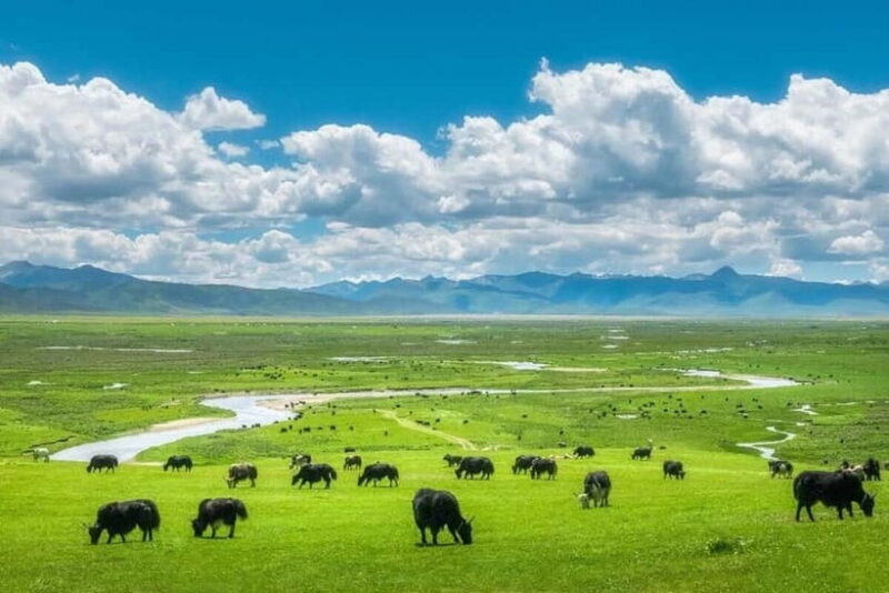 Lijiang: Yulong Snow Mountain, Blue Moon Valley & Show - The Sum Up