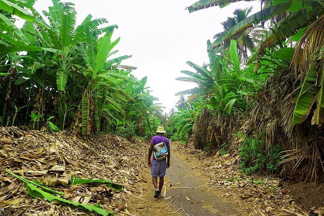 Like Locals: Banana Plantation, and Cuscuz with locals - Who Should Consider This Tour?