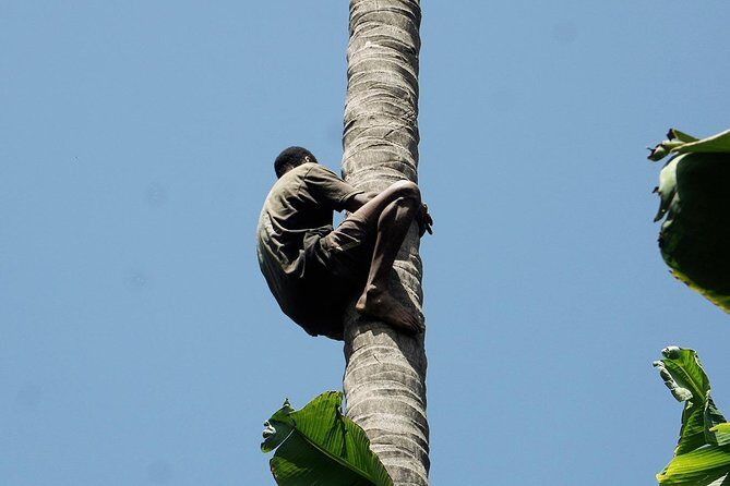 Like Locals: Banana Plantation, and Cuscuz with locals - FAQ