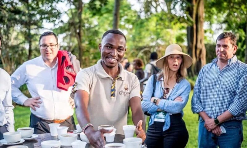 Limuru: Fairview Coffee Estate Guided Tour - Key Points