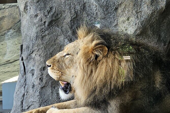 Lincoln Park Nature Museum and Zoo Public Walking Tour - Practical Tips for Your Tour