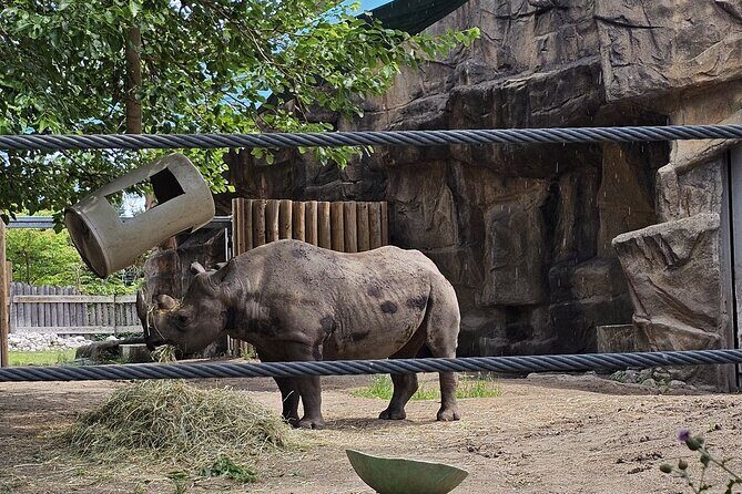 Lincoln Park Nature Museum & Zoo Private Walking Tour - Frequently Asked Questions