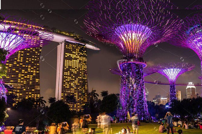 Lion City Night Out + Roundtrip Transfers - Transportation & Group Dynamics