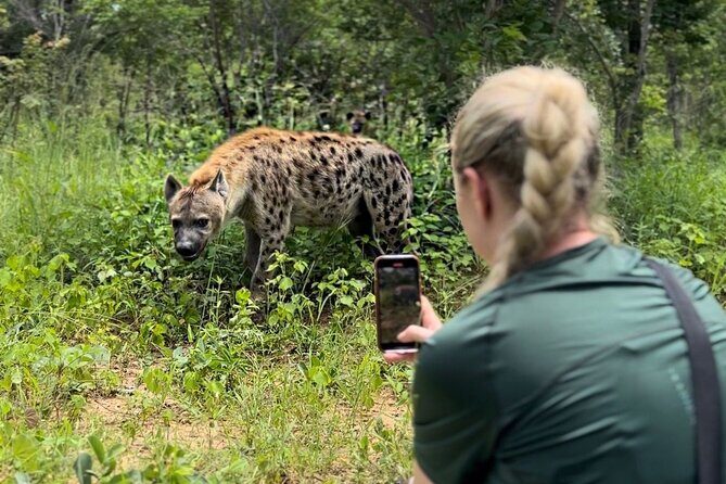 Lion & Wildlife Sanctuary Excursion Victoria Falls - Introduction to the Sanctuary Setting
