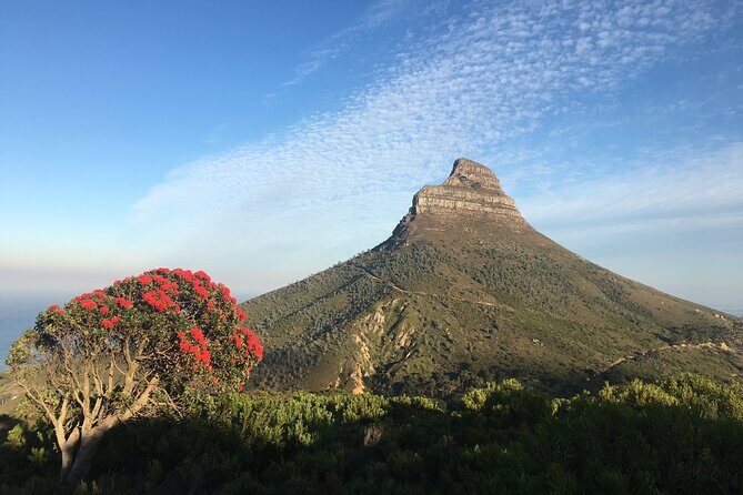 Lion's Head Hike-sunrise/sunset with professional private guide - Key Points