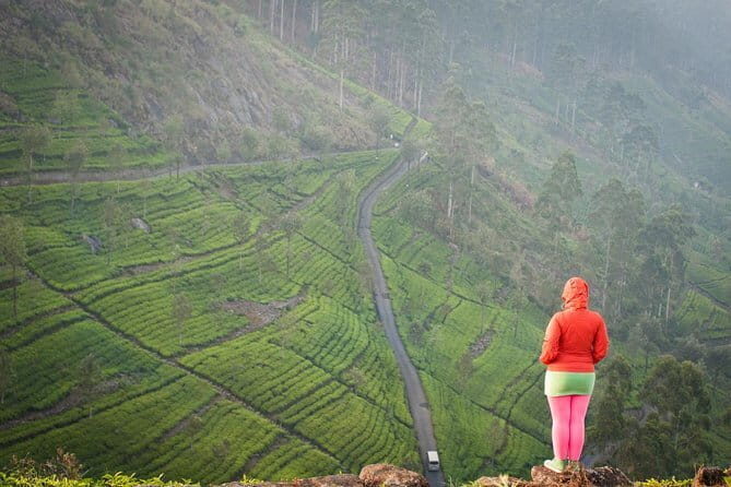 Lipton's Seat and Tea Factory,Trail Amidst Tea Plantation Day Tour - A Detailed Look at the Tour Itinerary