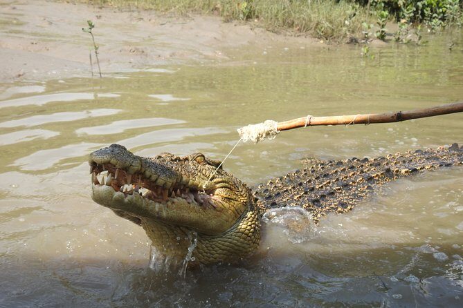 Litchfield and Jumping Crocodiles Full Day Trip from Darwin - An In-Depth Look at the Tour