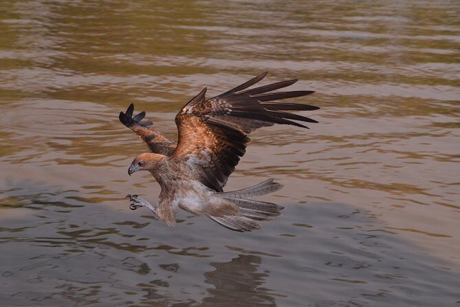 Litchfield and Jumping Crocodiles Full Day Trip from Darwin - FAQs