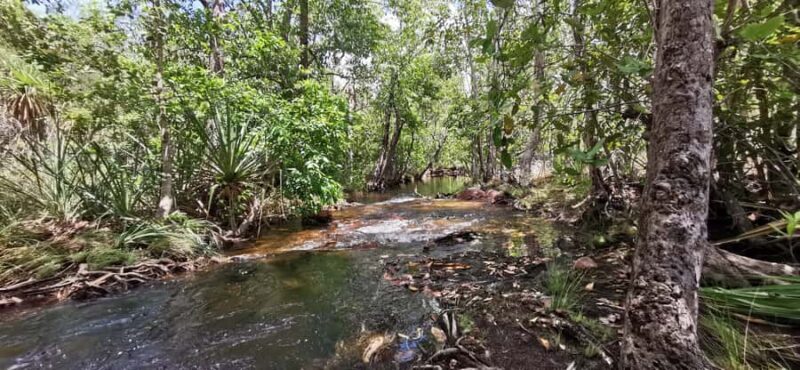 Litchfield & Berry Springs, Premium tour, 10 guests & lunch - Who Will Enjoy This Tour?
