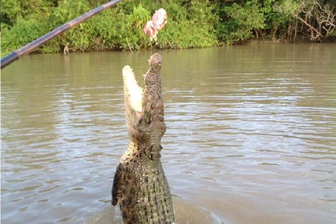 Litchfield National Park and Jumping Crocodile Cruise - Practical Considerations and Tips