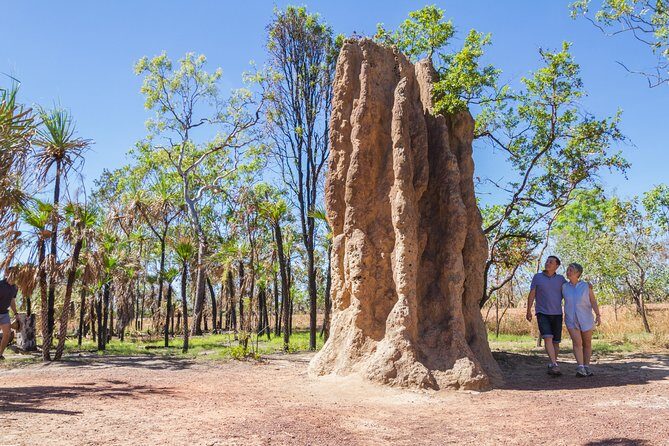 Litchfield National Park Day Tour from Darwin - Guides and Group Size